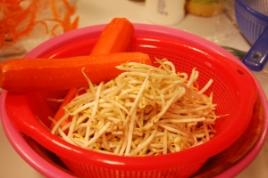2 soja carottes
